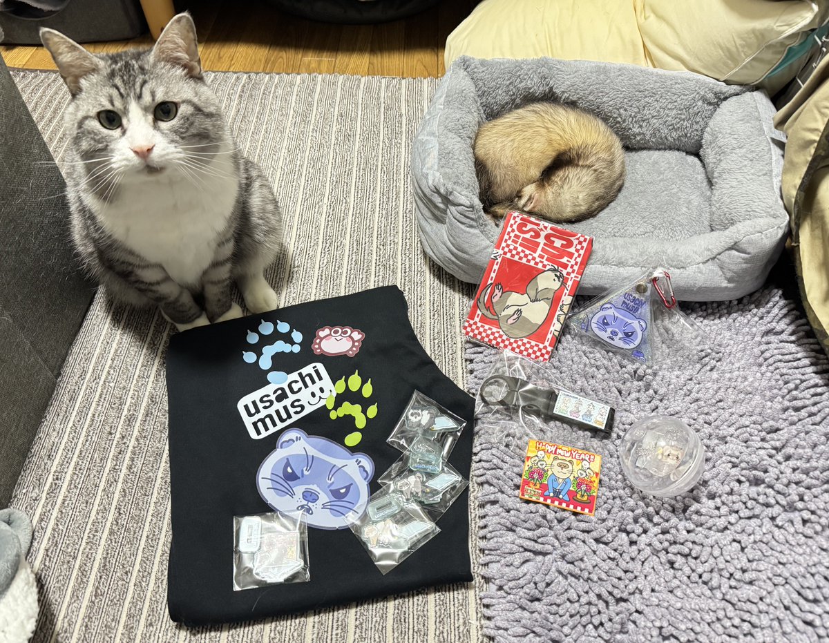 ☆真珠→プロフ必読☆ページです ﾍﾍｯ…✨本日の戦利品✨ﾄﾞﾔｯ✨ 可愛いがいっぱい！！！ 前から欲しかった