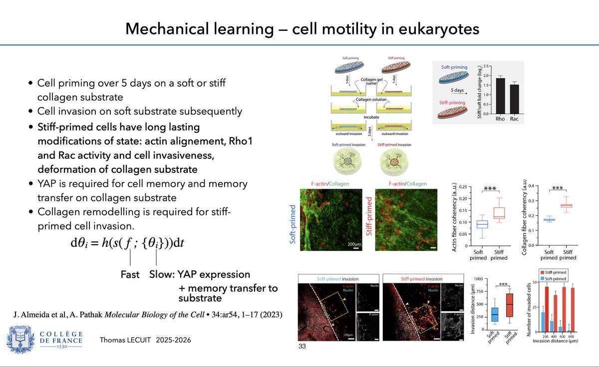 LecuitLab's tweet photo. Please find below the link to watch the VIDEO of my course#5 @cdf1530. I present and discuss Self-tuning, Adaptation and Learning in biological systems, e.g. during embryonic development. Some personal ideas/proposals in this course. Enjoy &amp; Share 🙏🏼🤩
https://t.co/zgAU8KWRel https://t.co/4L8FlmuTzq