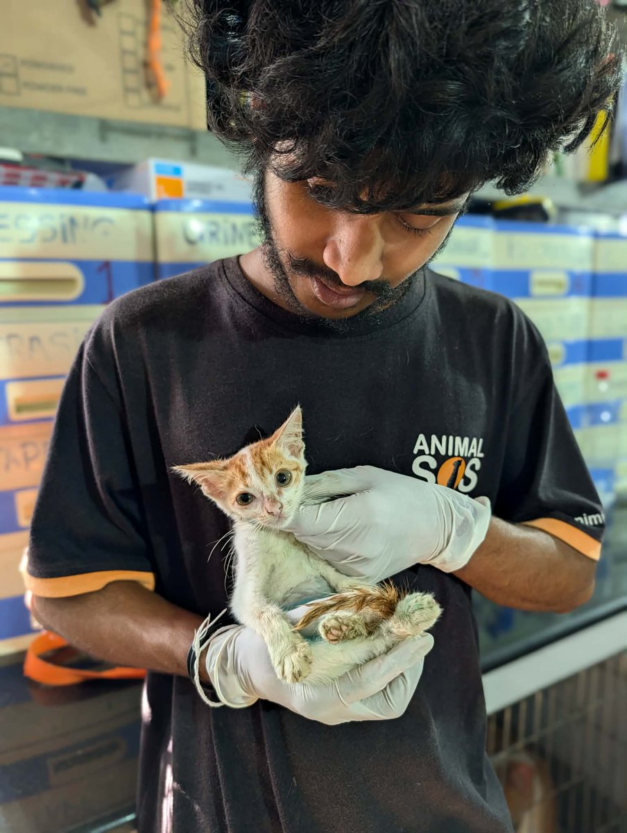 Animal SOS Sri Lanka tweet media