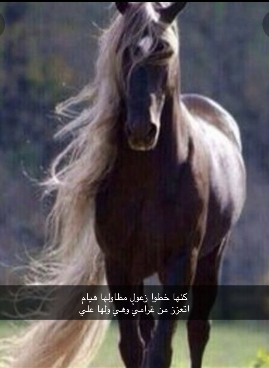 كنها خطوا زعولٍ مطاولها هيام
          اتعزز من غرامي وهي ولها علي