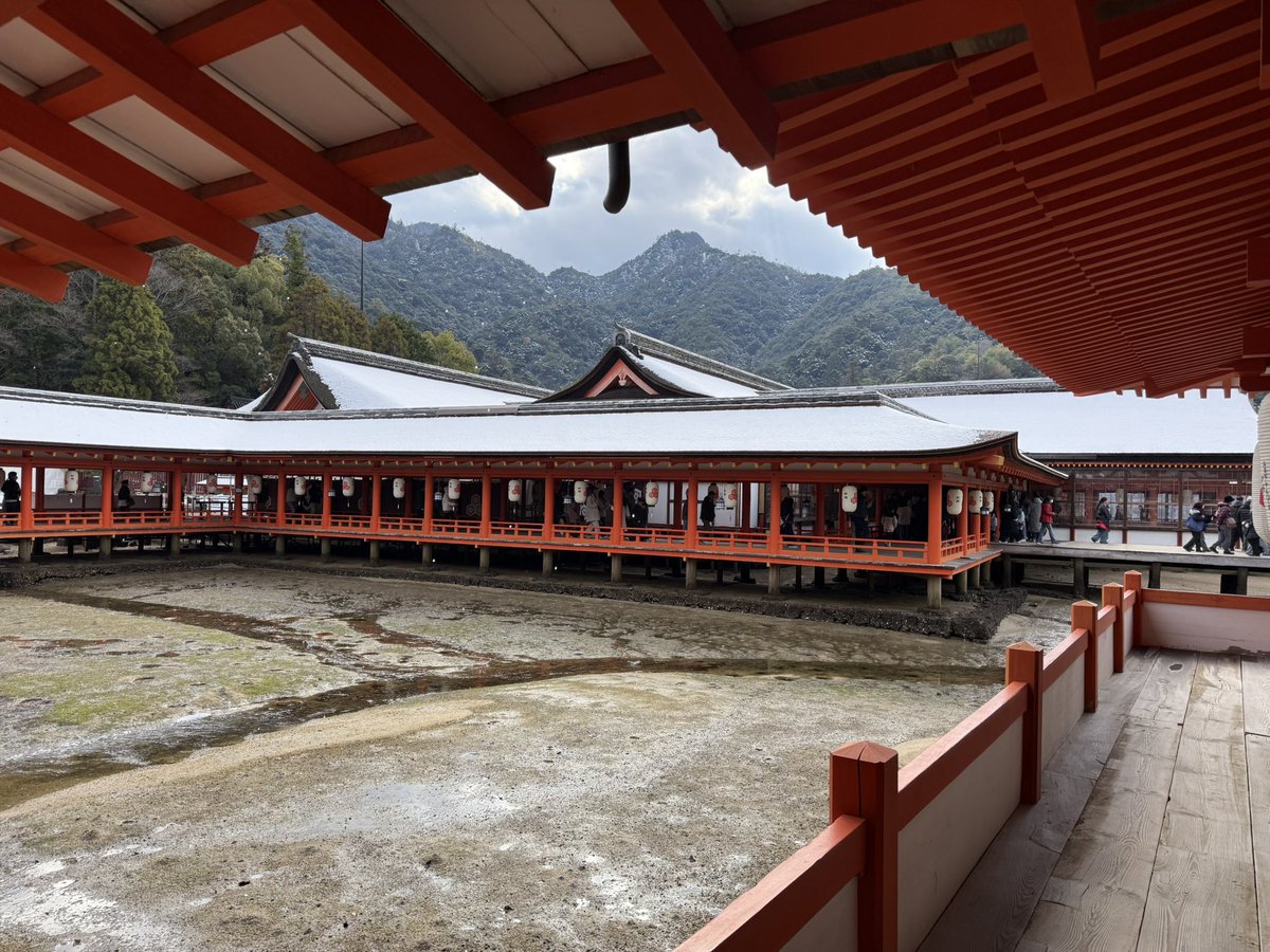 🐼🍙じゅんじゅん🍙🐼 (@junichisan321) / Posts / X