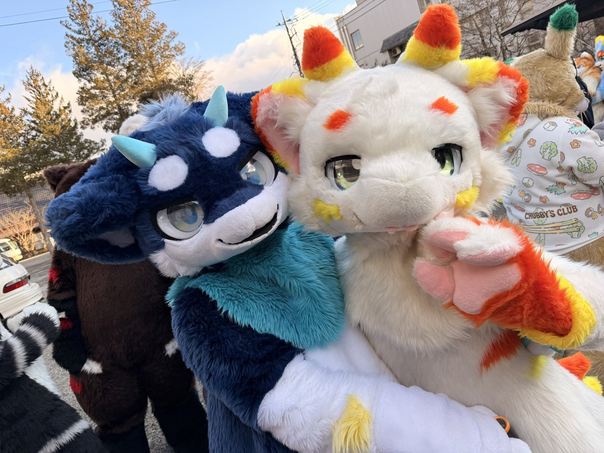 さみまる☼꙳ (@furry_330) / Posts / X