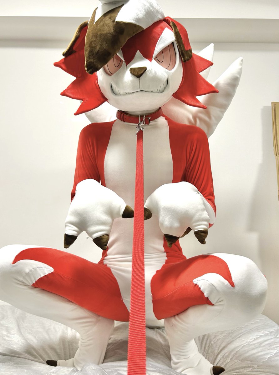 飼い主募集中！