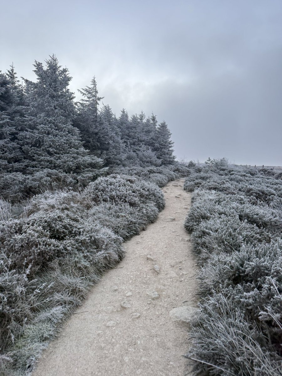 WereLikeTheView's tweet image. I Love Living Near The Mountains (Sunrise Ed.)