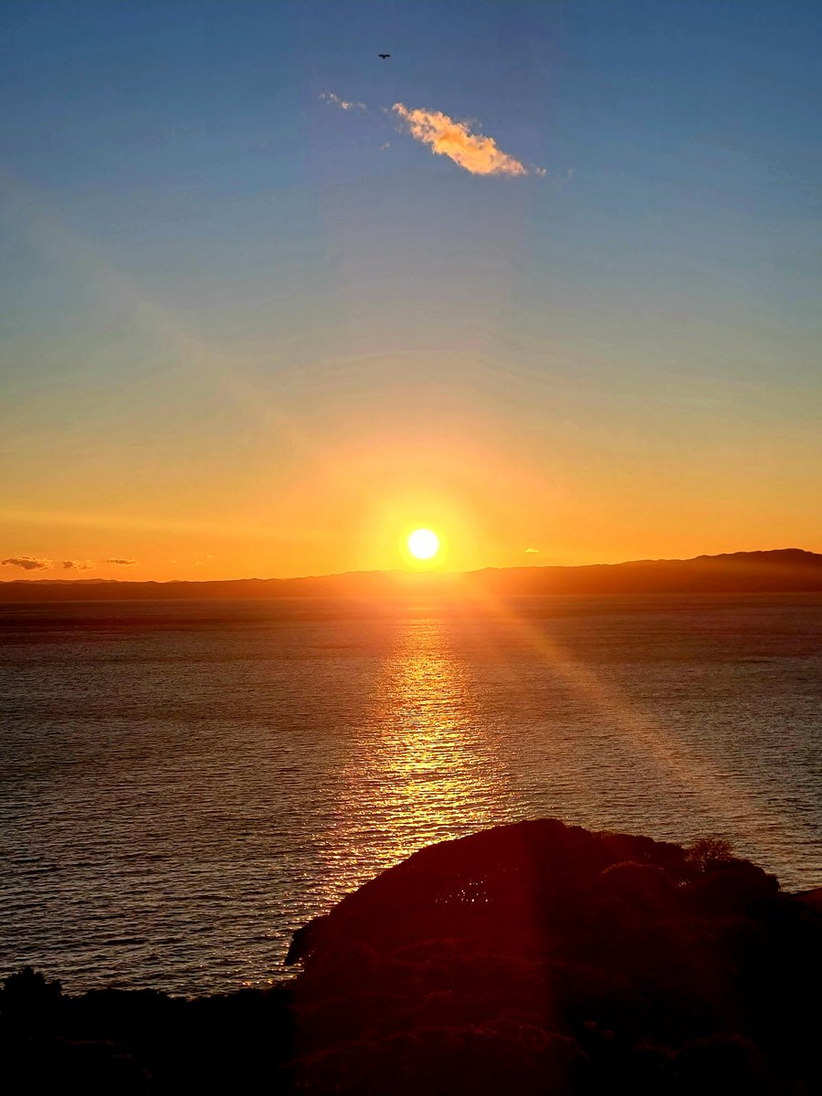 halyosyさんとソボさんと
江島神社にお参りしにきたよ⛩️🙏