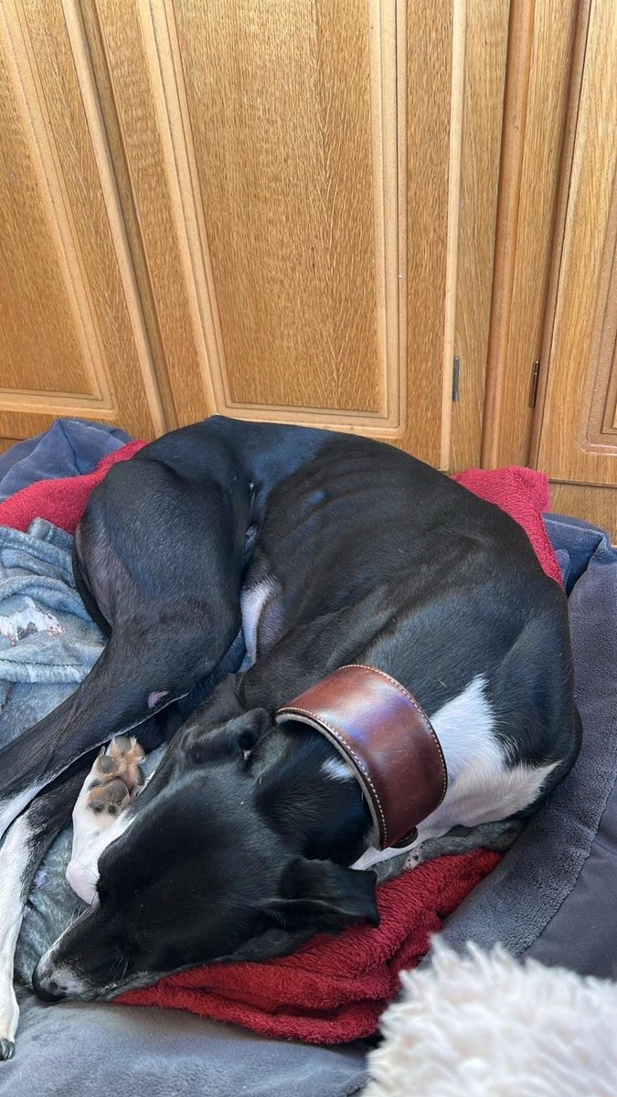 Something to warm your heart on a very cold day!