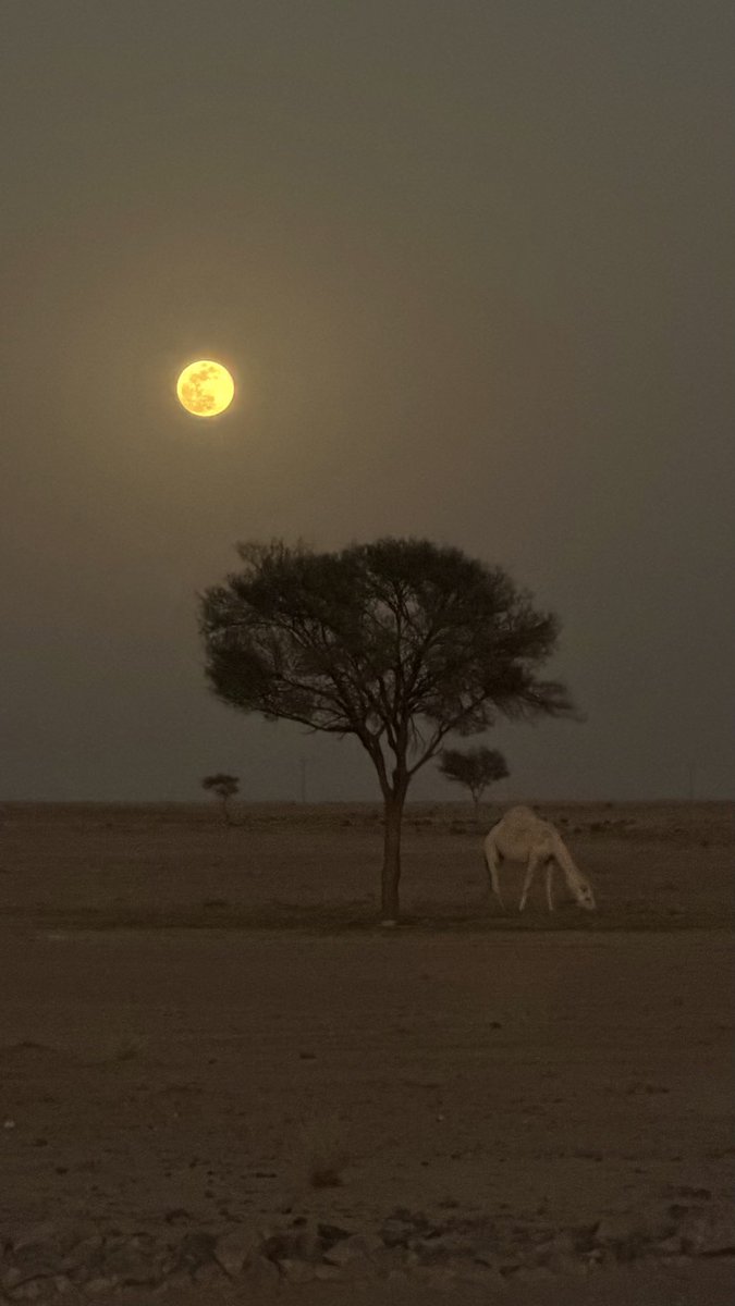 القمر الليلة 🌙🌕