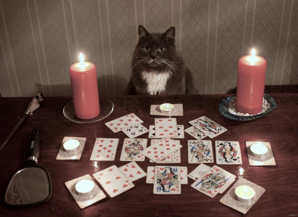 reaaldevileye's tweet image. سؤال مفتوح ، كشف طاقي
أحتاج أسماء فقط أو أحرف
retweet , follow