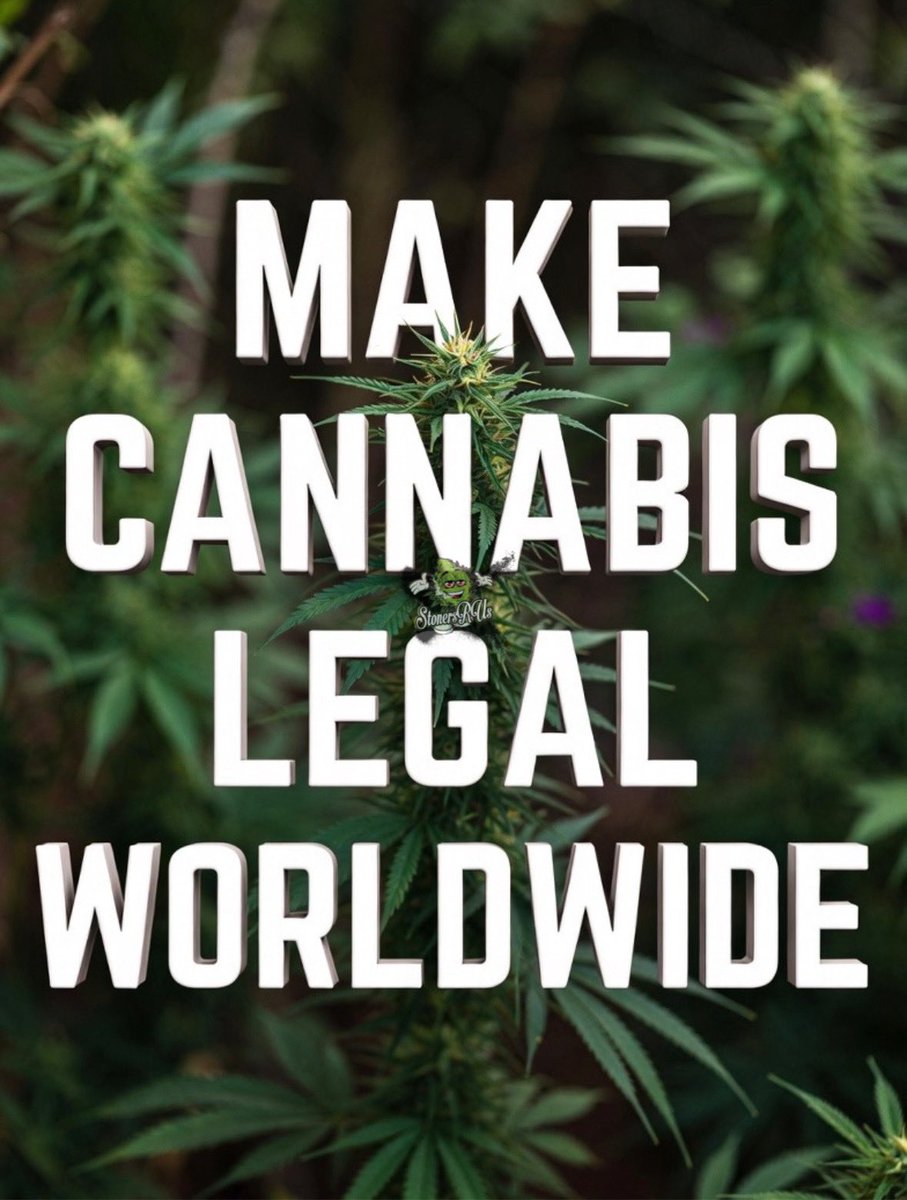 _StonersRUs_'s tweet image. Who agrees? 🤔