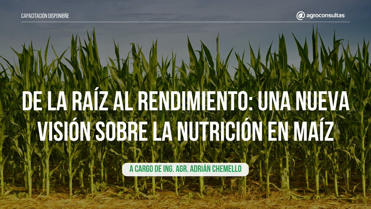Información práctica y actualizada para tomar mejores decisiones🚀

🙋‍♂️A cargo de Adrián Chemello
🌽Desarrollo de programas de alto rendimiento, cómo se construye la productividad, desde las limitantes a la implementación del paquete tecnológico avanzado

👉🏻agroconsultas.online/mh2ZIS