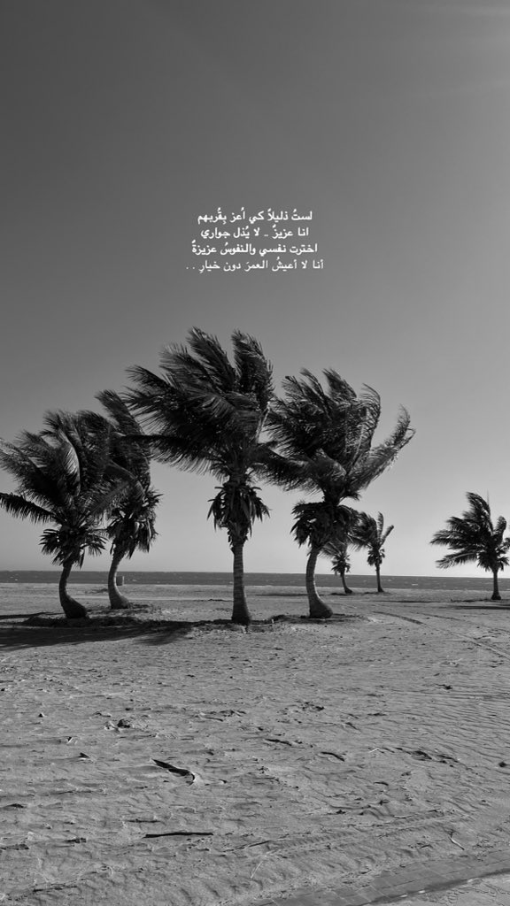 jee || ام ماريا (@jwahr__aa) on Twitter photo 