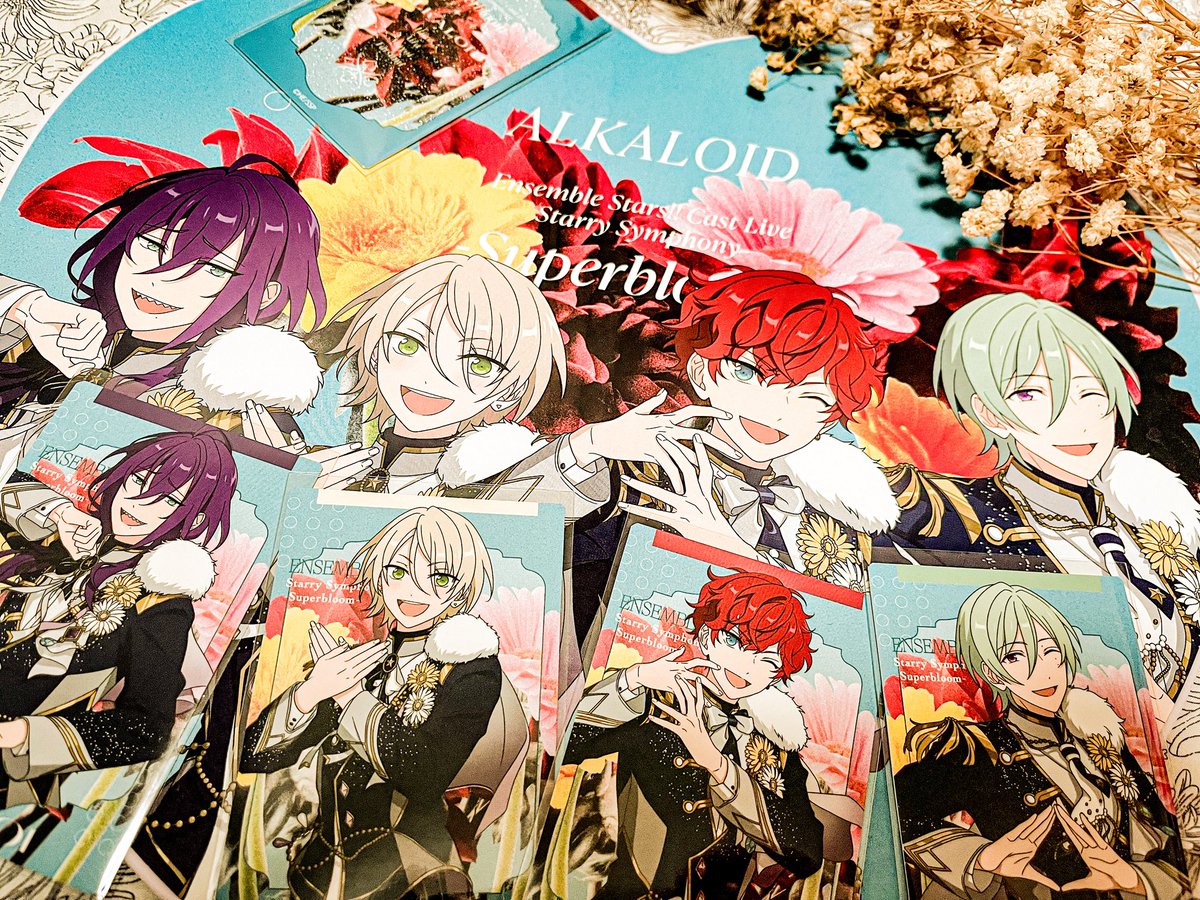 ぽにょ🐎🏹 tweet media