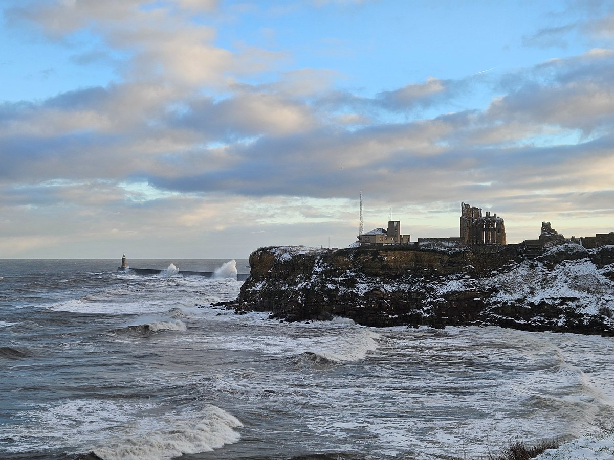 Tom Chatfield tweet media