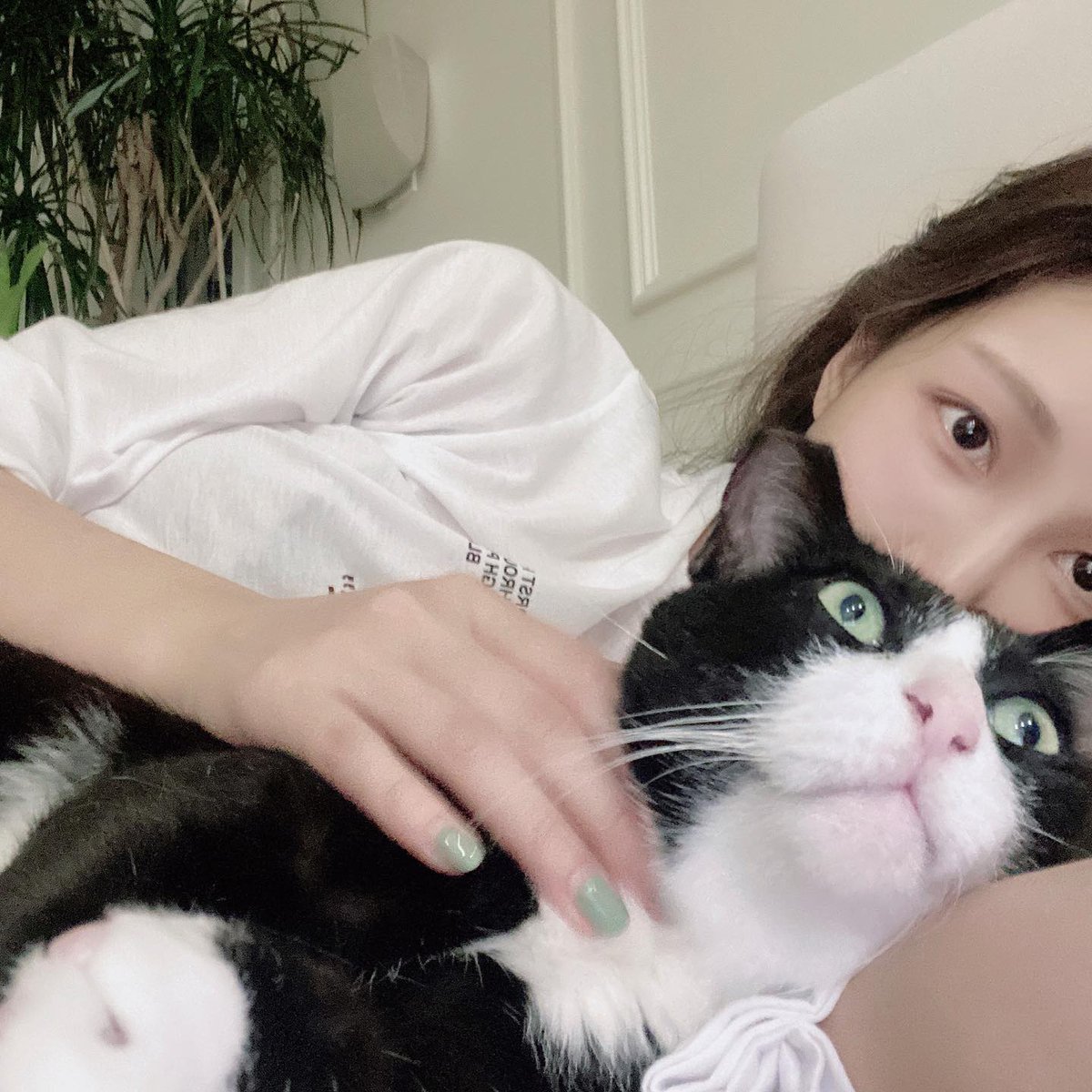 DynaL43499's tweet image. Cat lover 🐱 | Soft vibes ✨
#CatTwitter #MeowLife
Living for cats 🐈💖
#CatPic #CatLove