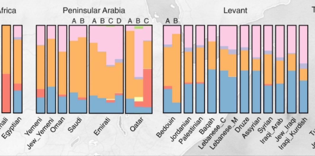 طلال tweet media