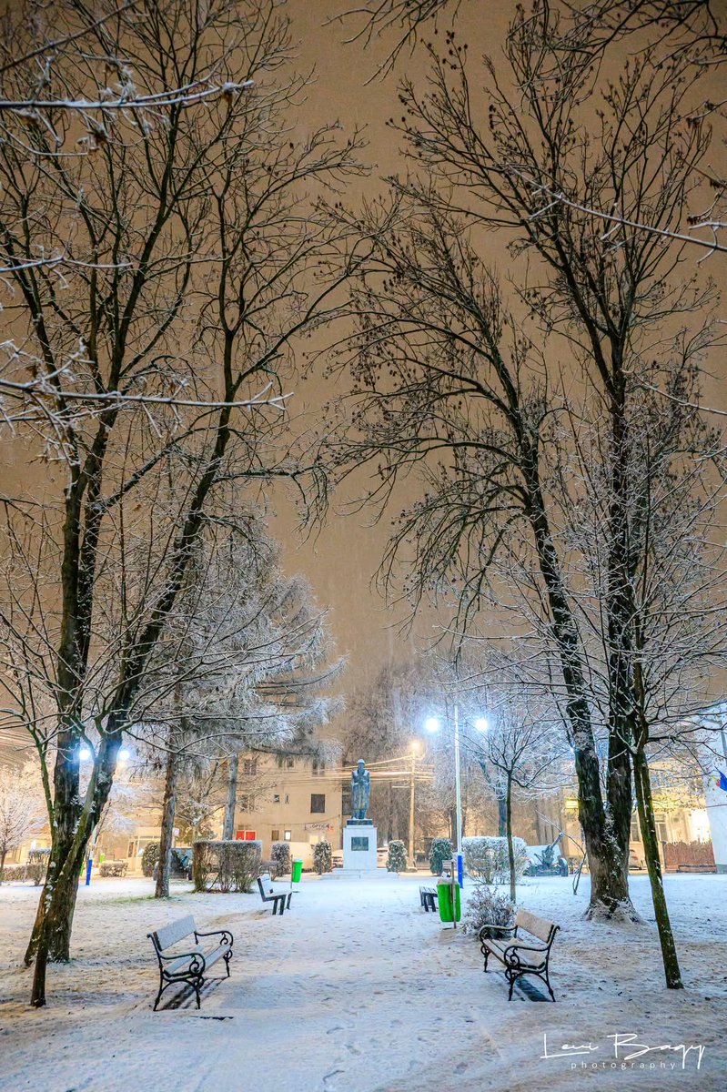 Travel_2Romania's tweet photo. ❄️❄️❄️ Imagini de poveste,noaptea la pas prin oraș.
Demult nu a mai nins așa la Luduș, județul Mureș ❄️🌨️🌨️❄️
📸realizate în 03.01.2026,intre orele 00 - 01 :)
‼️
©️levibagyphotography #ludus #ninsoare #2026year
#visitmures #romaniafrumoasa
Visit Mures
https://t.co/JKlJf9ehgW https://t.co/0icCAlKhUm