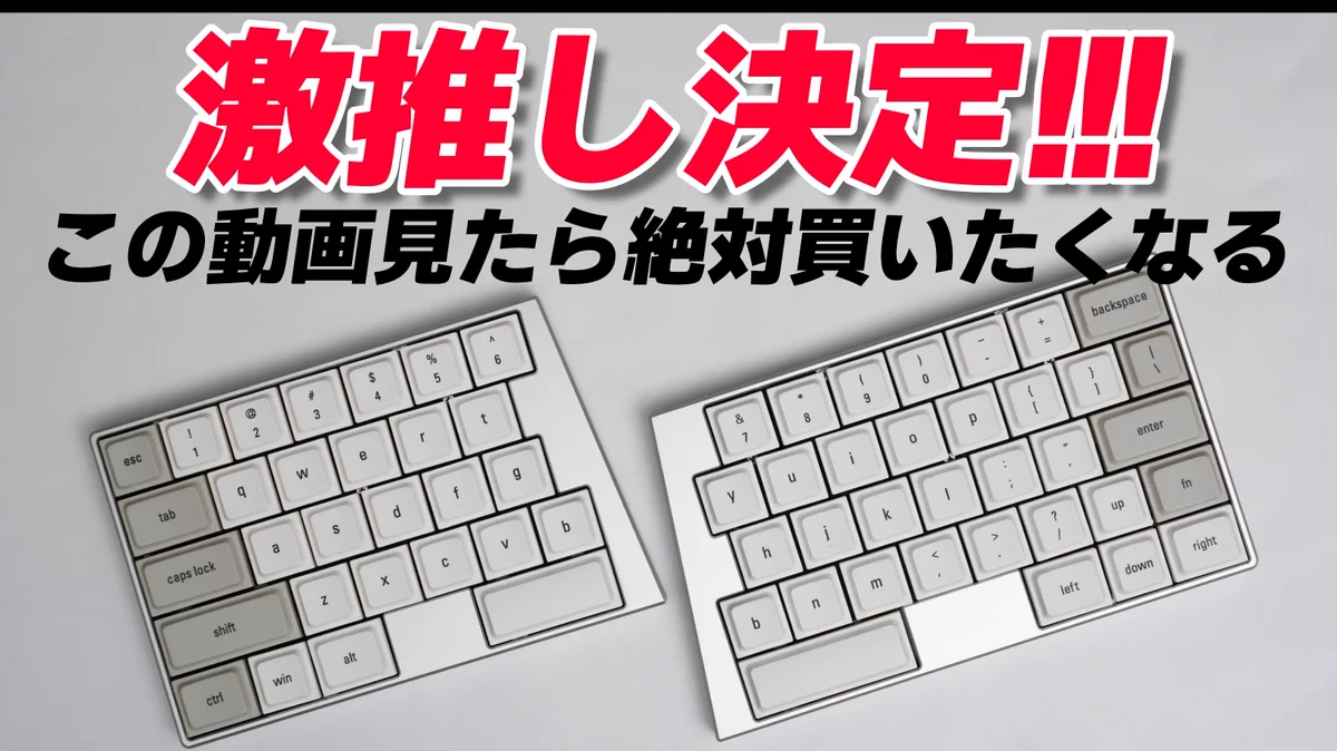 Yuta Sakai(さかぴー) on X: 