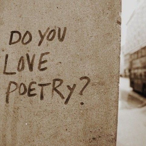 jpetterhan's tweet photo. I'm head over heels for you. 🍁🍂 https://t.co/LPldJjRPUY