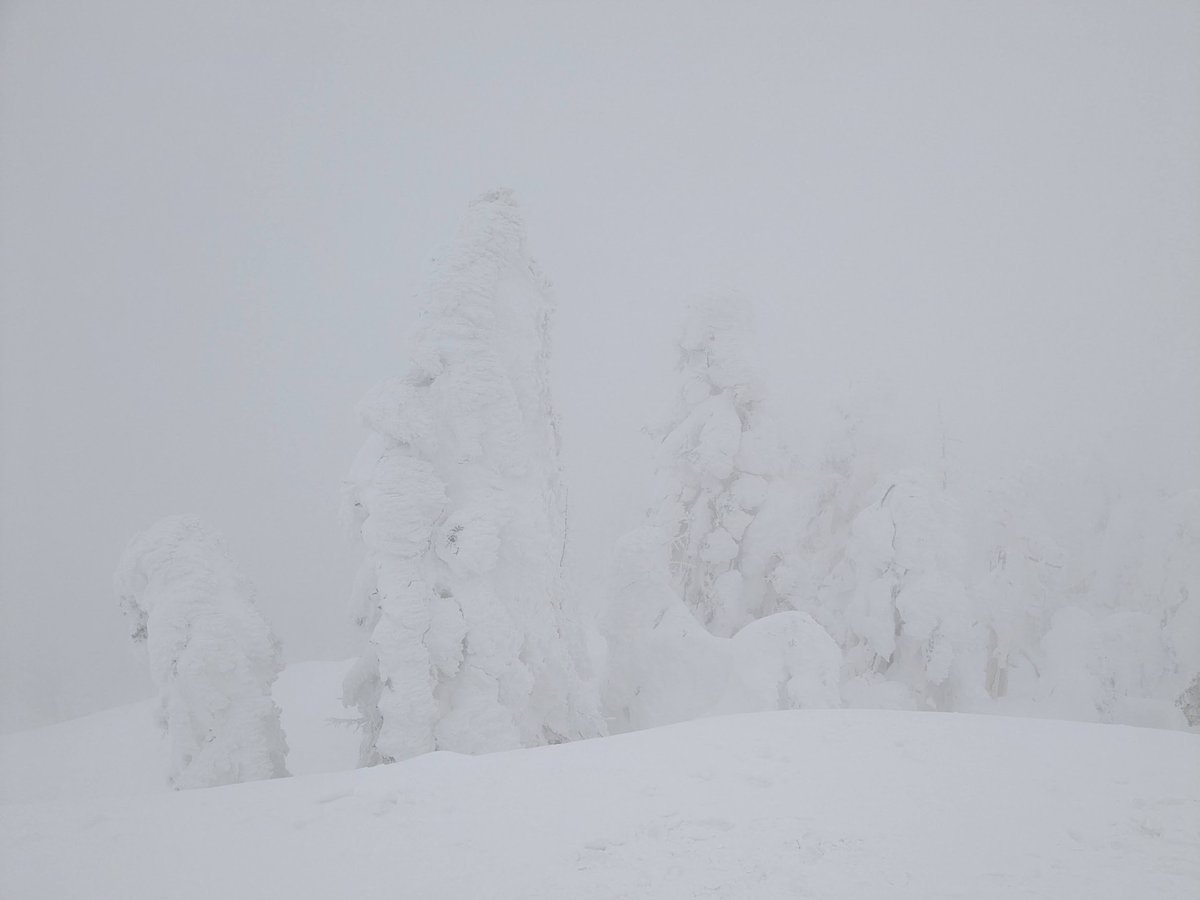 私が去年見た蔵王はこれなんですが、ネットで見られる蔵王の景色はどこに行けば見れますか（白目