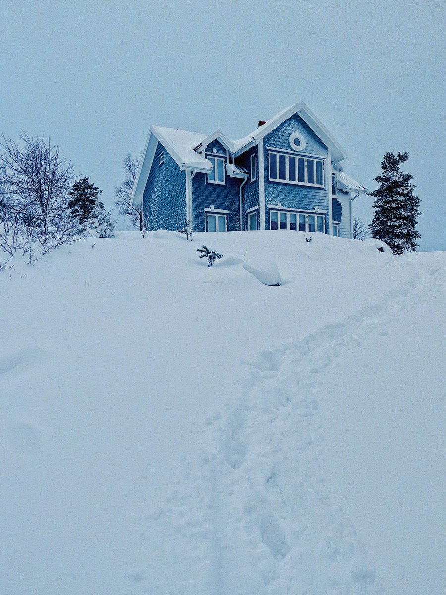 снег валит какие-то сутки подряд, все смешалось в одну белесую непроглядную вьюгу. ночью я спускаюсь вниз подложить дрова в камин, выглядываю в окно, вижу как мир вокруг кружит, вертится, танцует сплошным белым вихрем. я проговариваю про себя - вьюга. буран. шторм. метель. пурга.