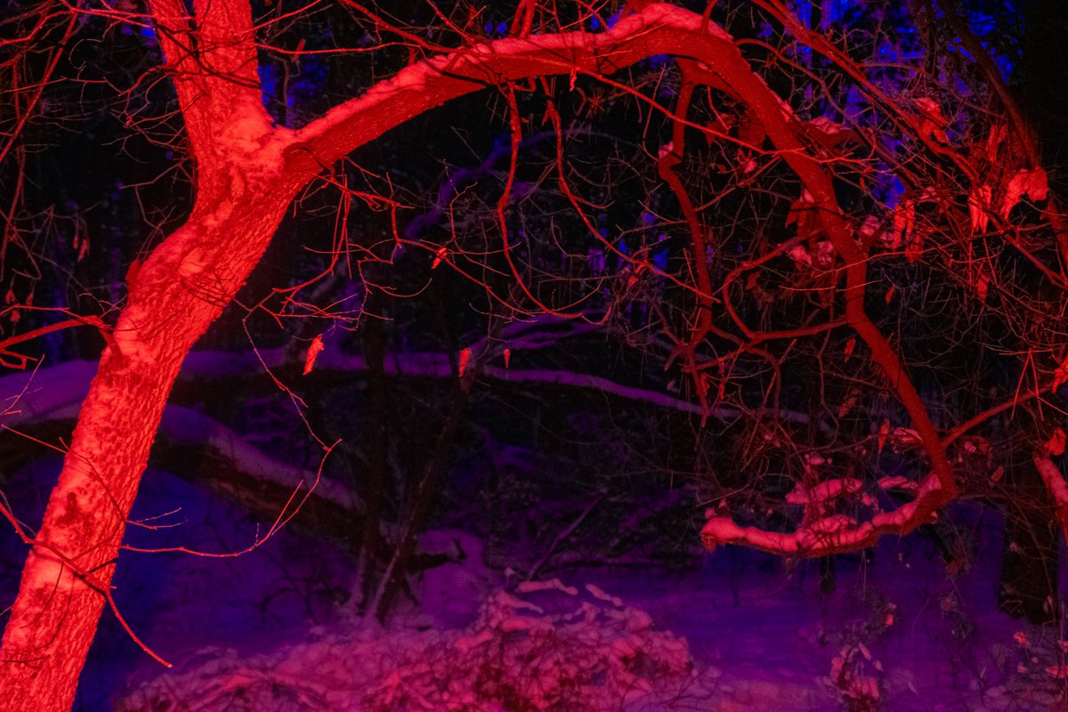 unevenstring180's tweet image. 