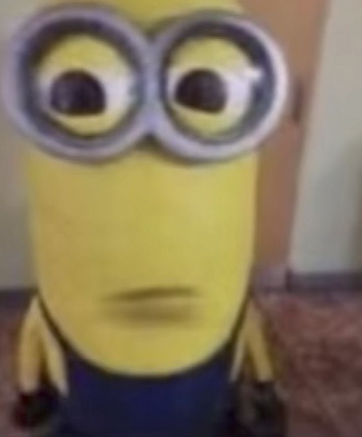 papoy
