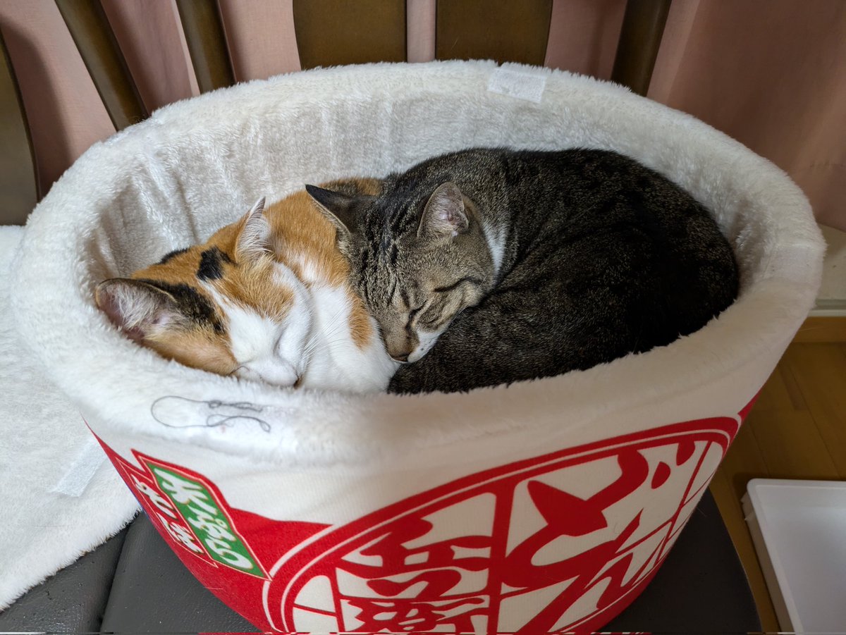 やす子 (@yasuko_sma) / Posts and Replies / X