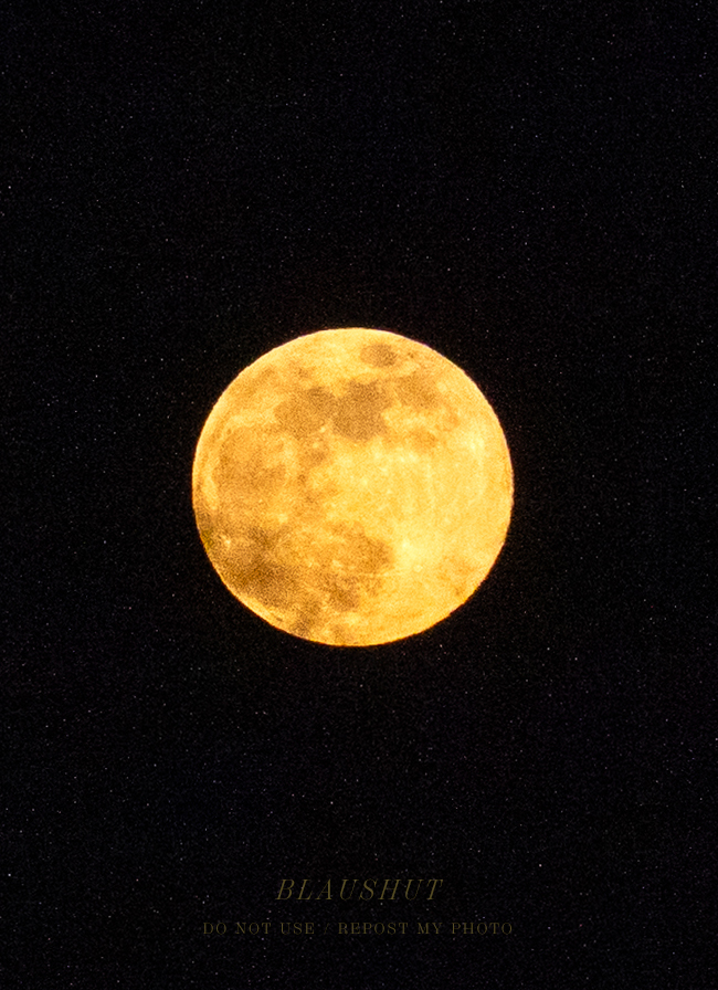 노이즈가 별처럼 나왔다