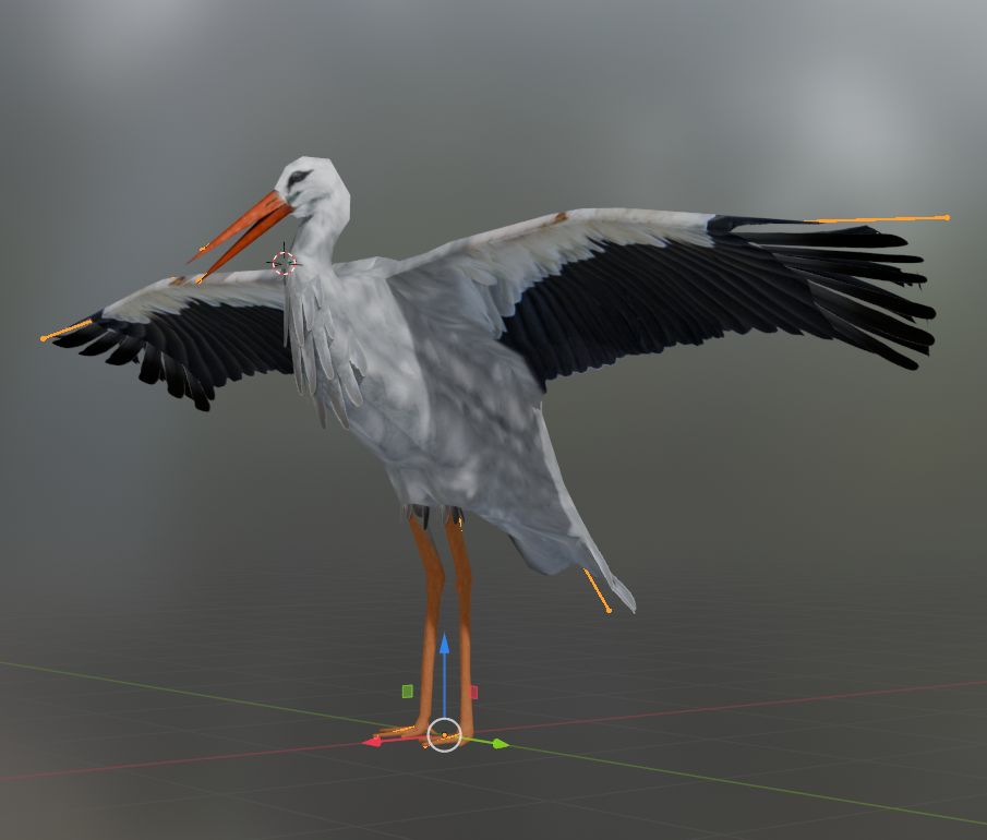 Calepin Studio tweet media