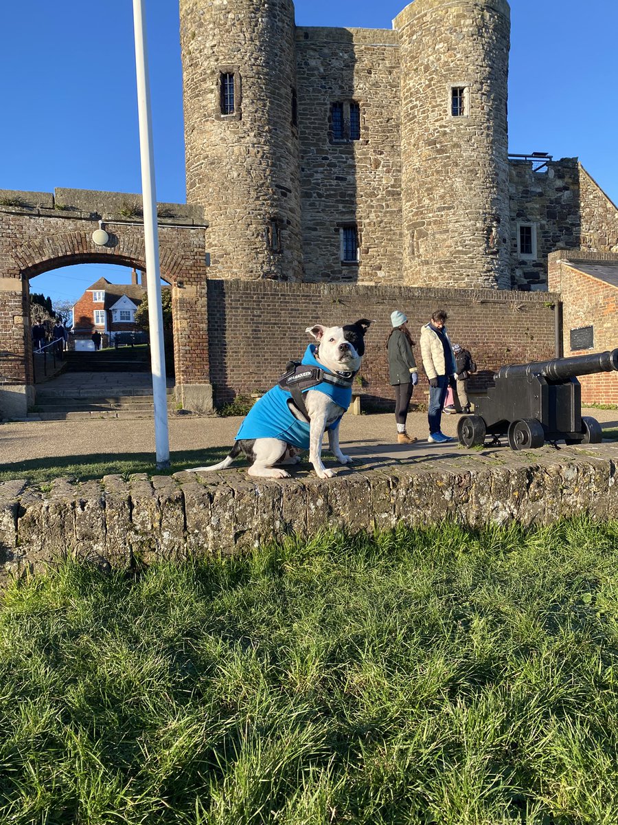 Chilly out there today <a href="/RyeCastleMuseum/">Rye Castle Museum</a> #staffiesaturday