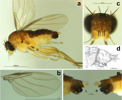 Integrative Systematics tweet media