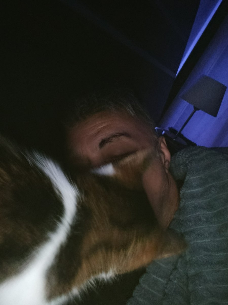 Alex Play 🇬🇧 🇷🇺 🇬🇪 (@alexpla10885065) on Twitter photo 