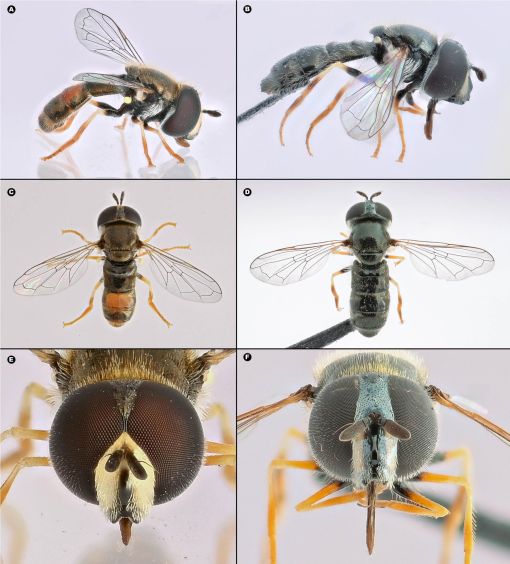 Integrative Systematics tweet media