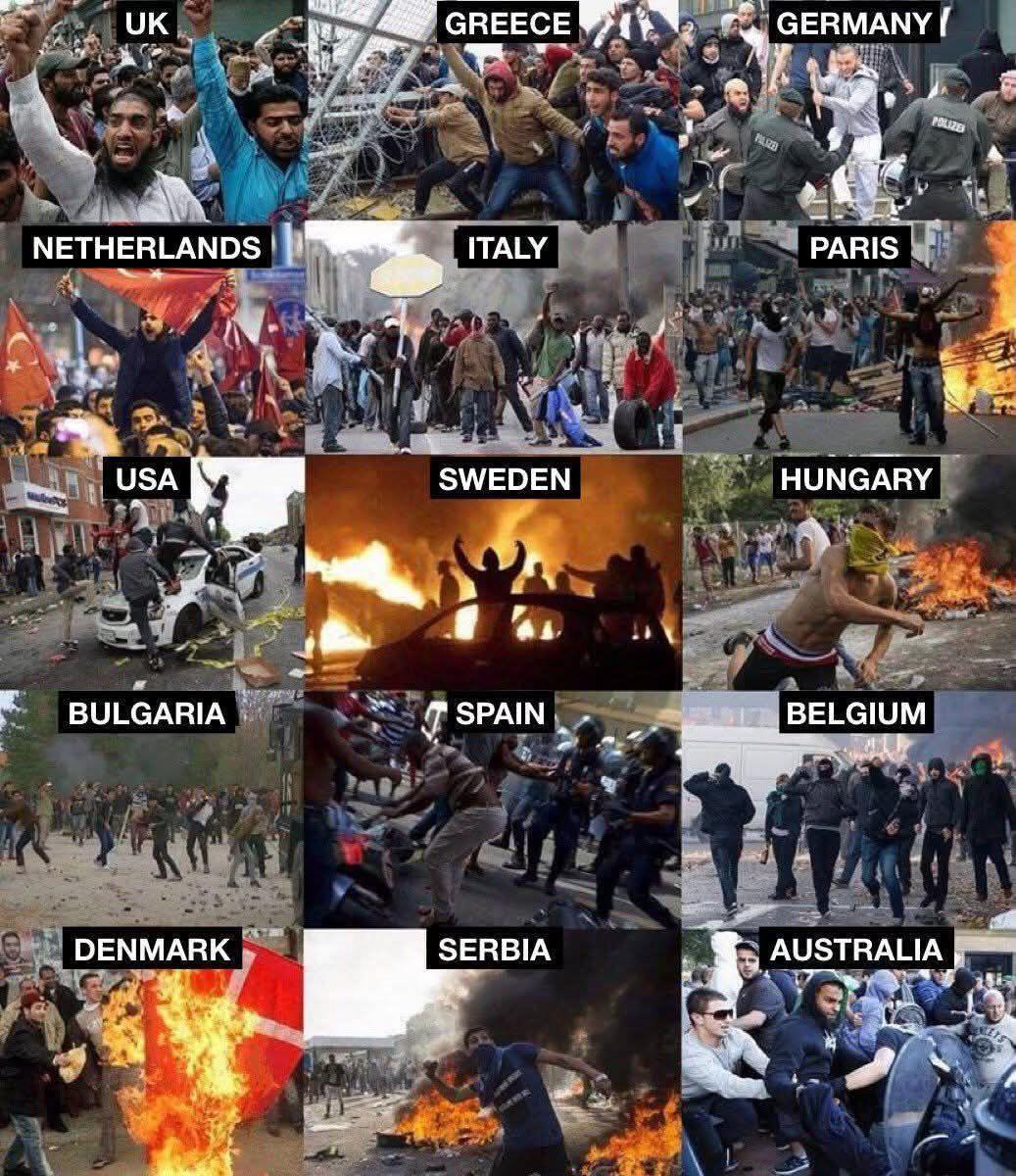 EUROPE: WE HAVE A PROBLEM
De gangsterislam
Na de jaarwisseling die 'nogal' gewelddadig en dodelijk was, buigen geleerde zich over het 'jongerenprobleem'. Maar a: het zijn voornamelijk beige jongeren en b: het zijn alleen jongens. Nog steeds niet de olifant in de kamer benoemen?