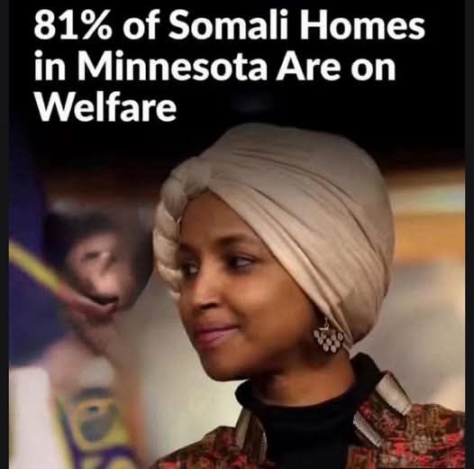 Sassafrass_84's tweet image. The democrat goal. 

Time to clean up America.