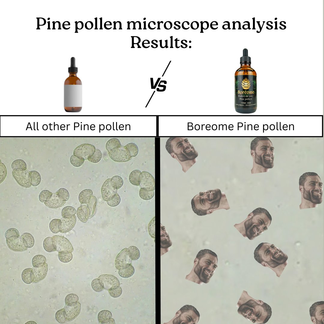 Boreome 🌿 Pine pollen co. tweet media