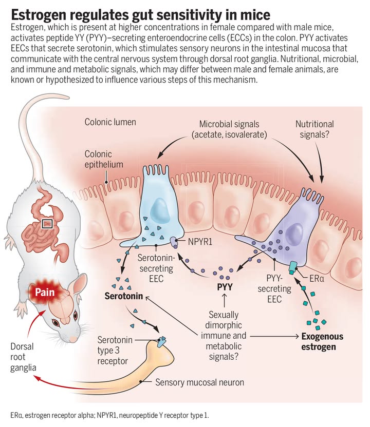 Science Magazine tweet media