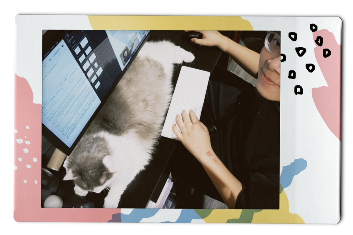 Cats don’t chase client, client chase them. 

They have mastered “positioning”