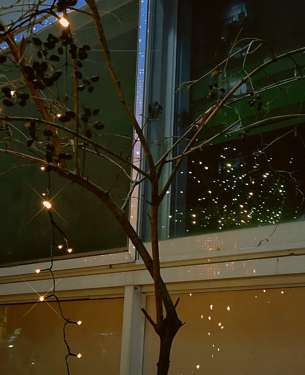 coldsun11's tweet image. 반짝. 그 짧은 순간이 나를 살게 해.