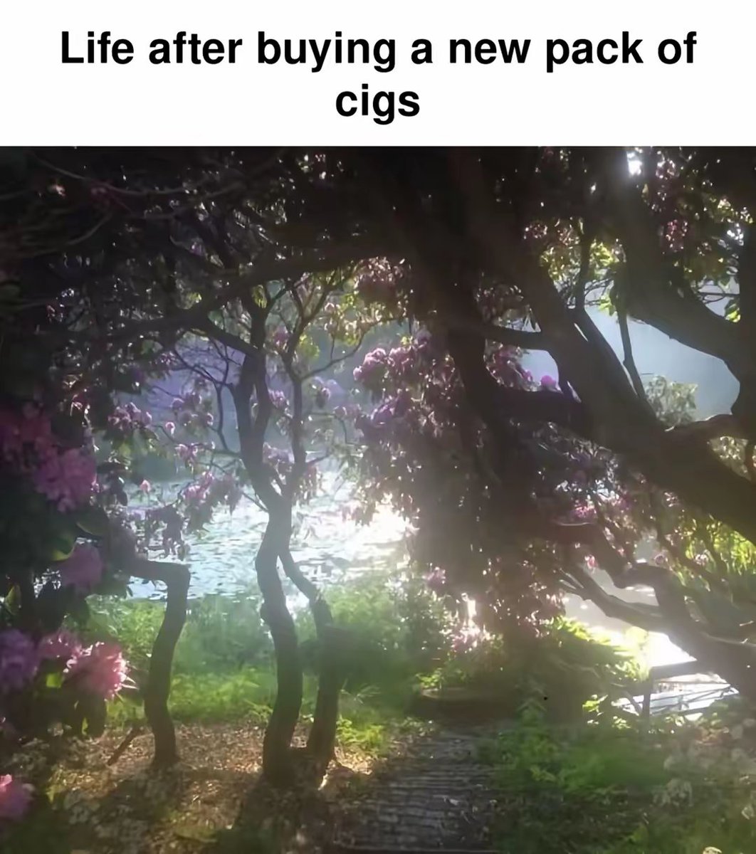 MadsPosting's tweet image. 