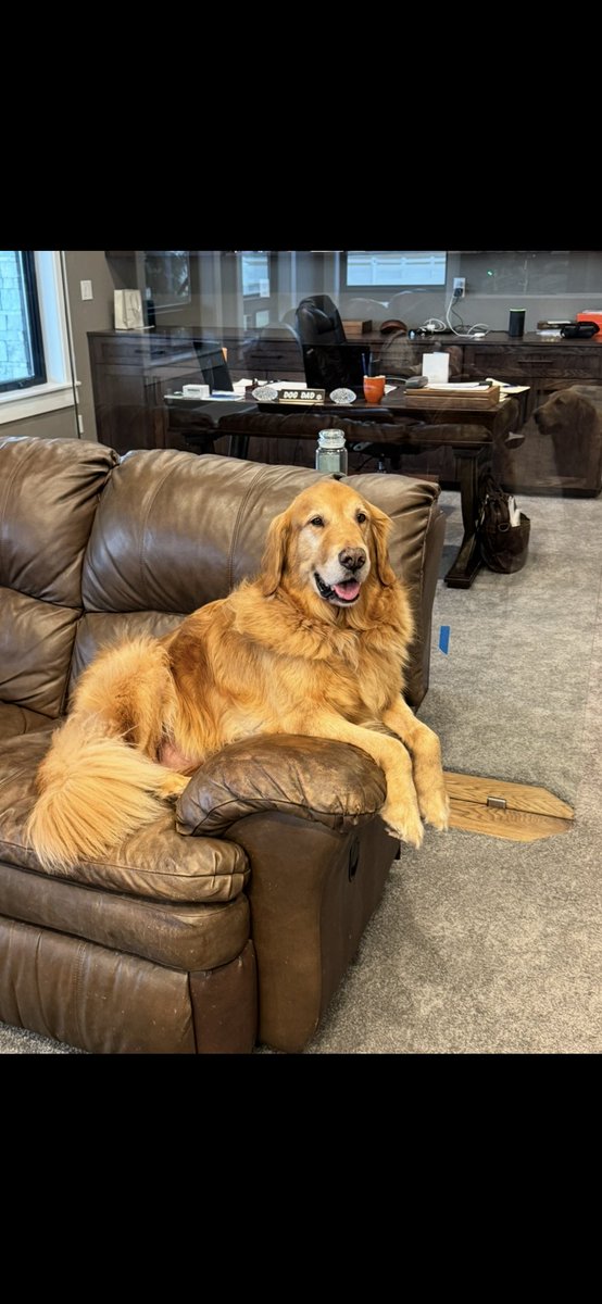 Hello friends! We have some sad news to share! Our sweet boy Ruger has been diagnosed with Osteosarcoma (Bone Cancer)
We are heartbroken and devastated by this news!💔Going forward we are looking at what treatments are available to keep Ruger happy and pain free!🙏❤️🐾