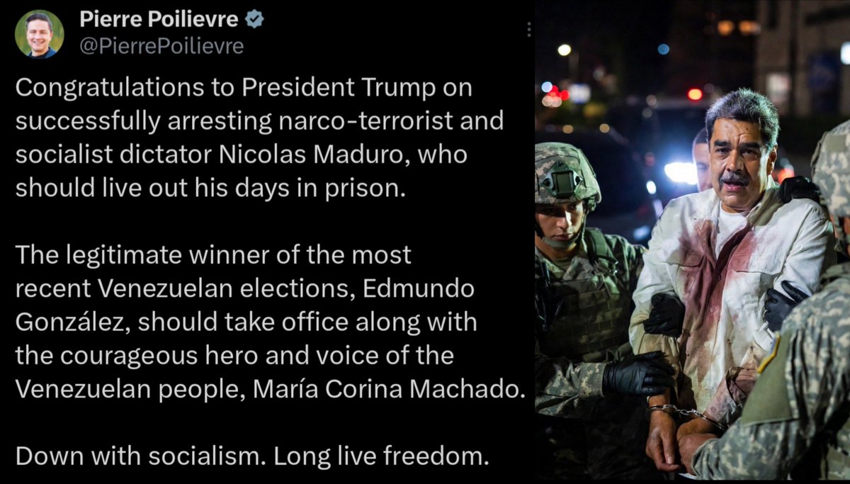 The Pleb 🌍 Reporter tweet media