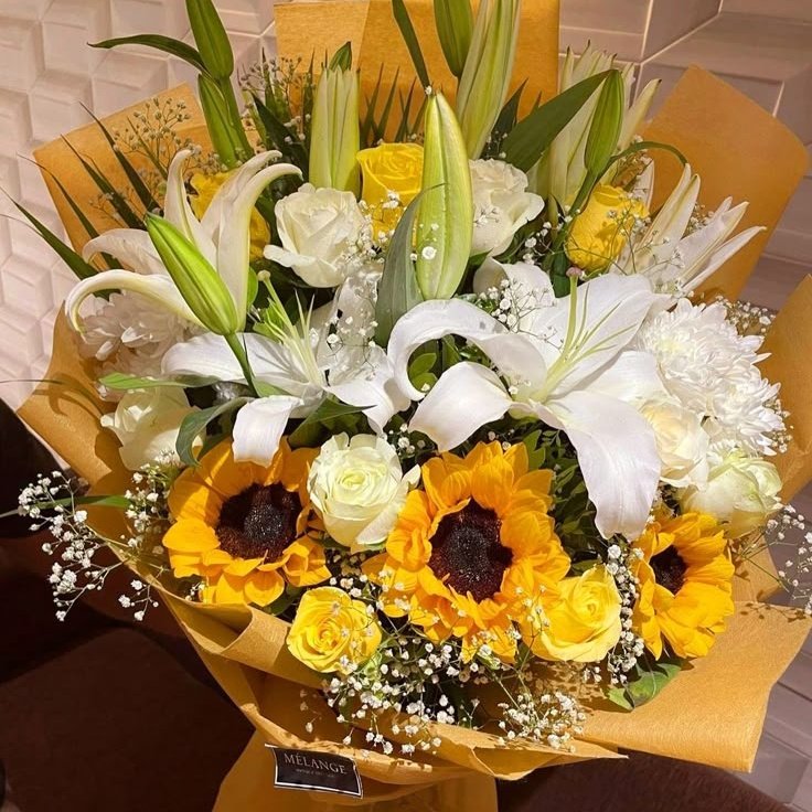 𝘼𝙇𝙀𝙓𝙀𝙄. tweet media