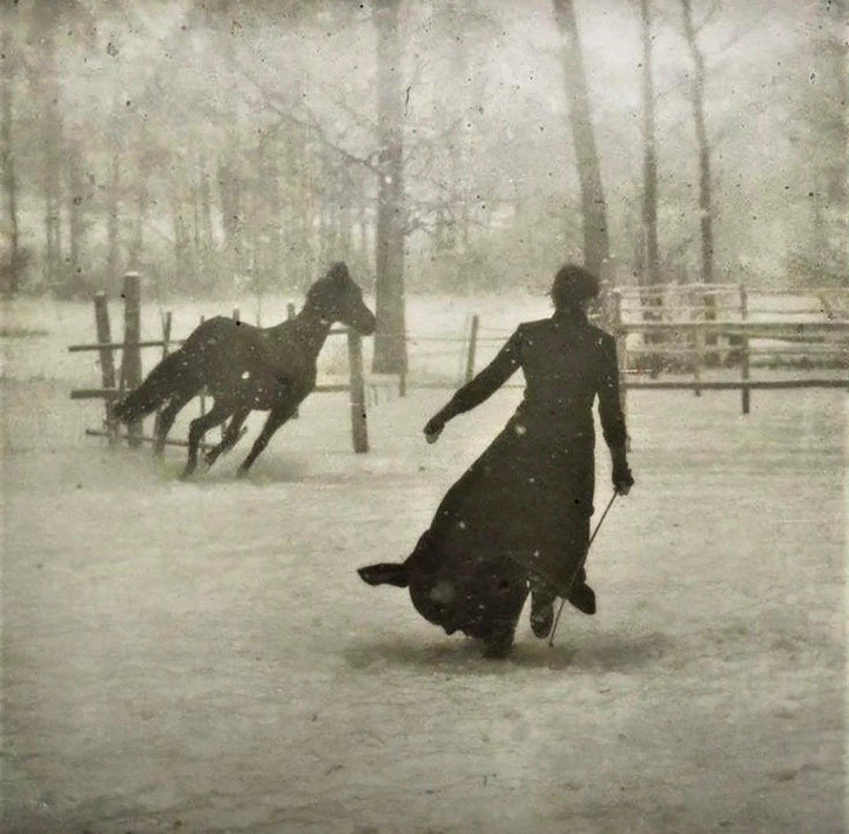 Lady and her horse on a snowy day in 1899.