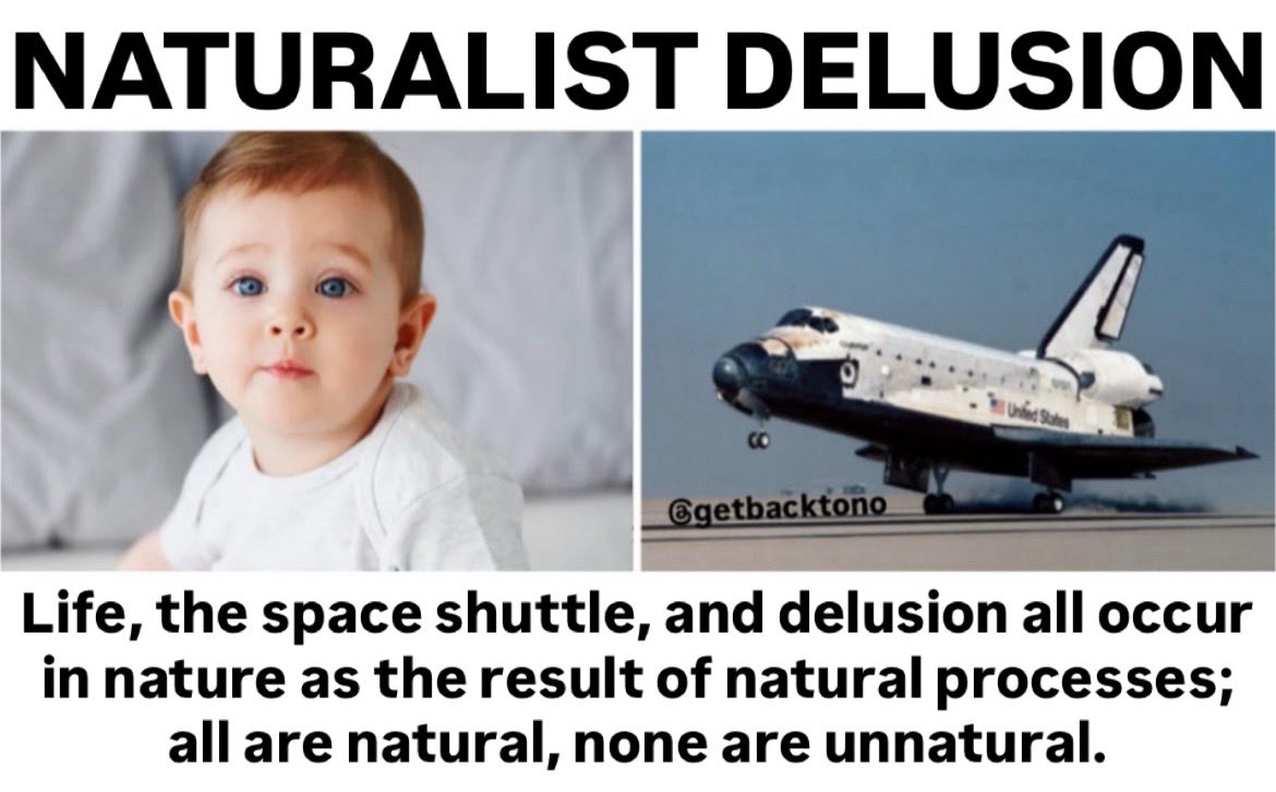 <a href="/DivinelyDesined/">Divinely Designed</a> No reasonable person has enough faith to believe unintelligent non-living matter could naturally produce an intelligent life or repurpose itself into a space shuttle.