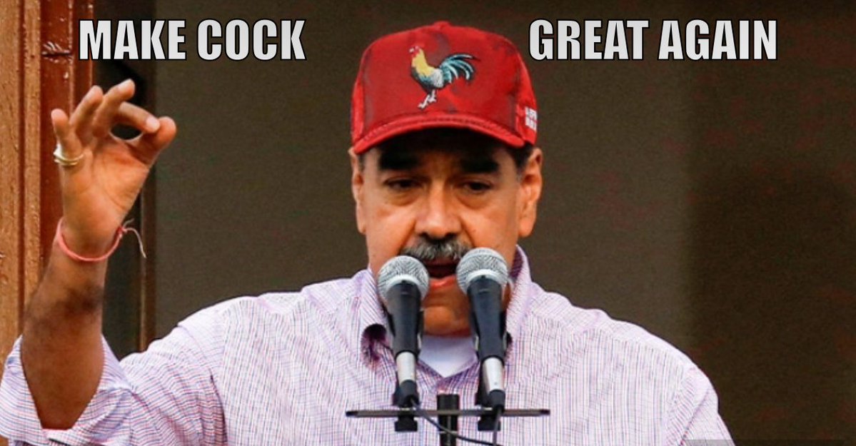 saddlestiff's tweet image. 