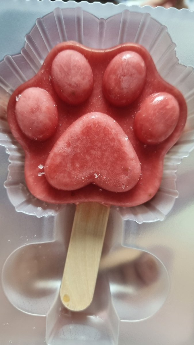 함냐함냐 함!!
햄스터처럼 먹긴 불가넝..