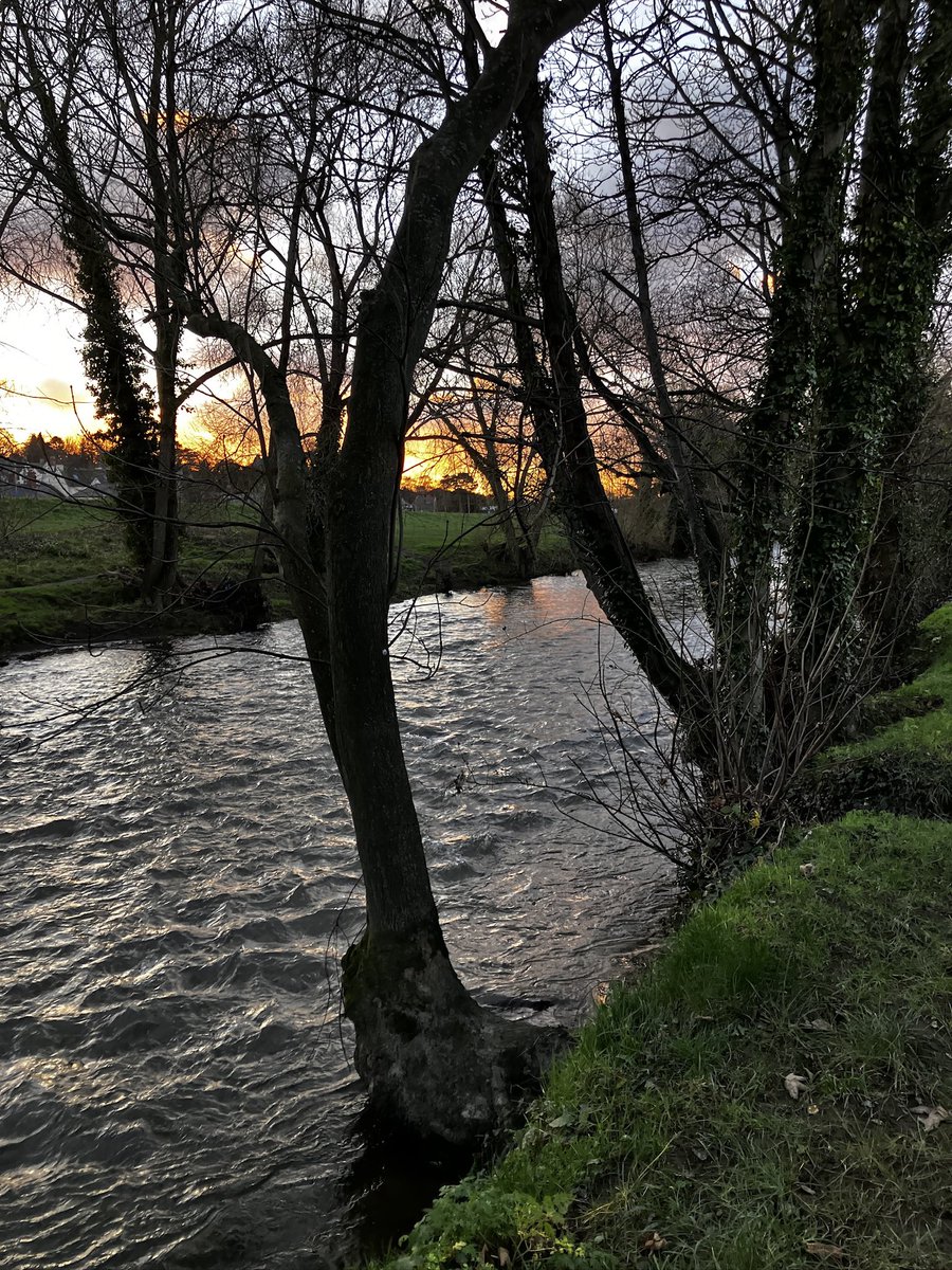 LibLadyDarllen's tweet image. Bore Da. Good Morning. Buenos Días. Today’s view from the office 
#LibraryLife #VeganLibrarian