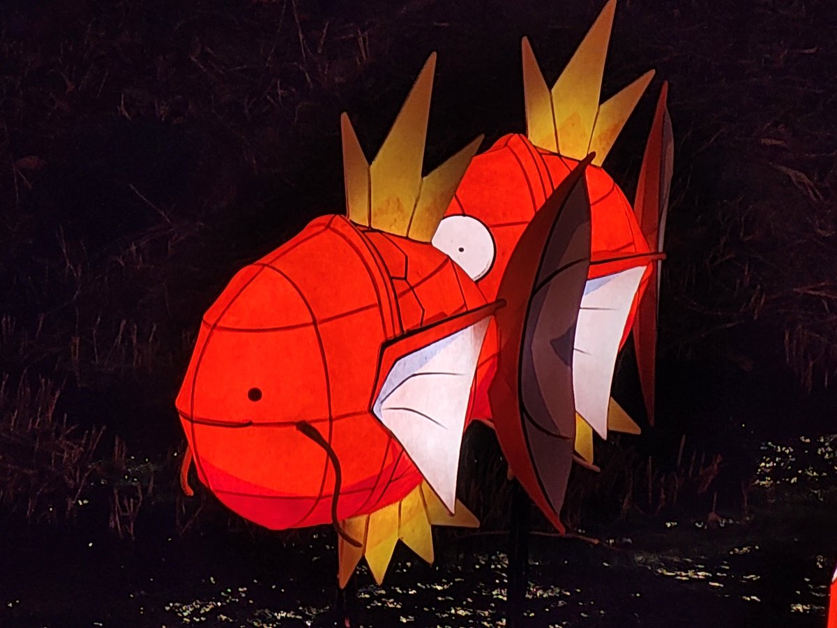 청계천 잉어킹 빛초롱축제? 댕겨옴