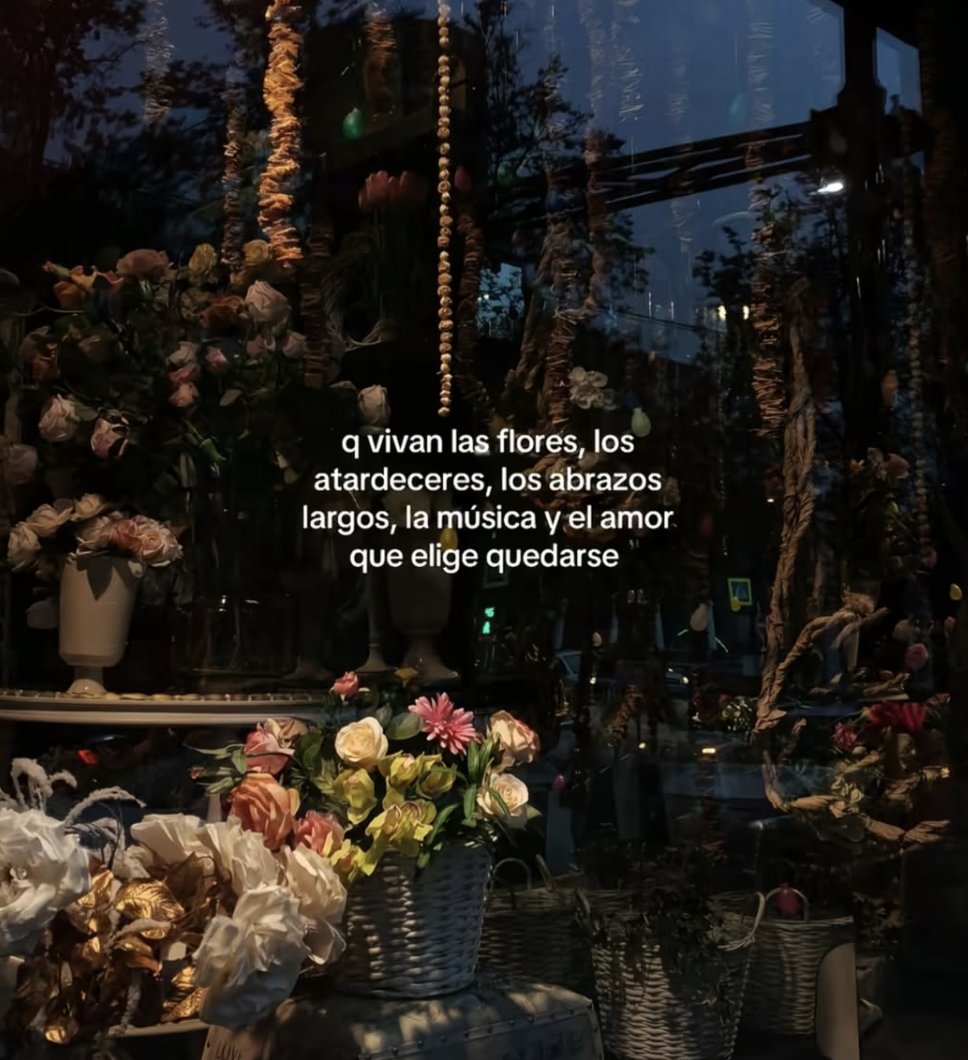 vibes (@vibesfyp) on Twitter photo 